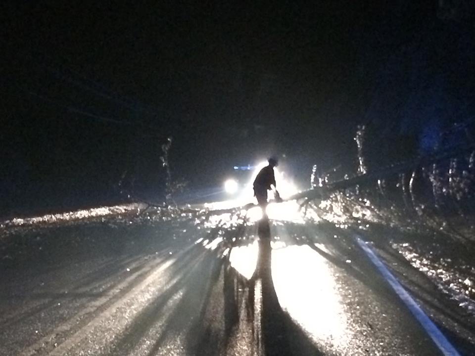 Winter Storm Produces Downed Trees, Icy Roads