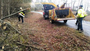 Right of way cleanup in Forsyth County 3.3.15
