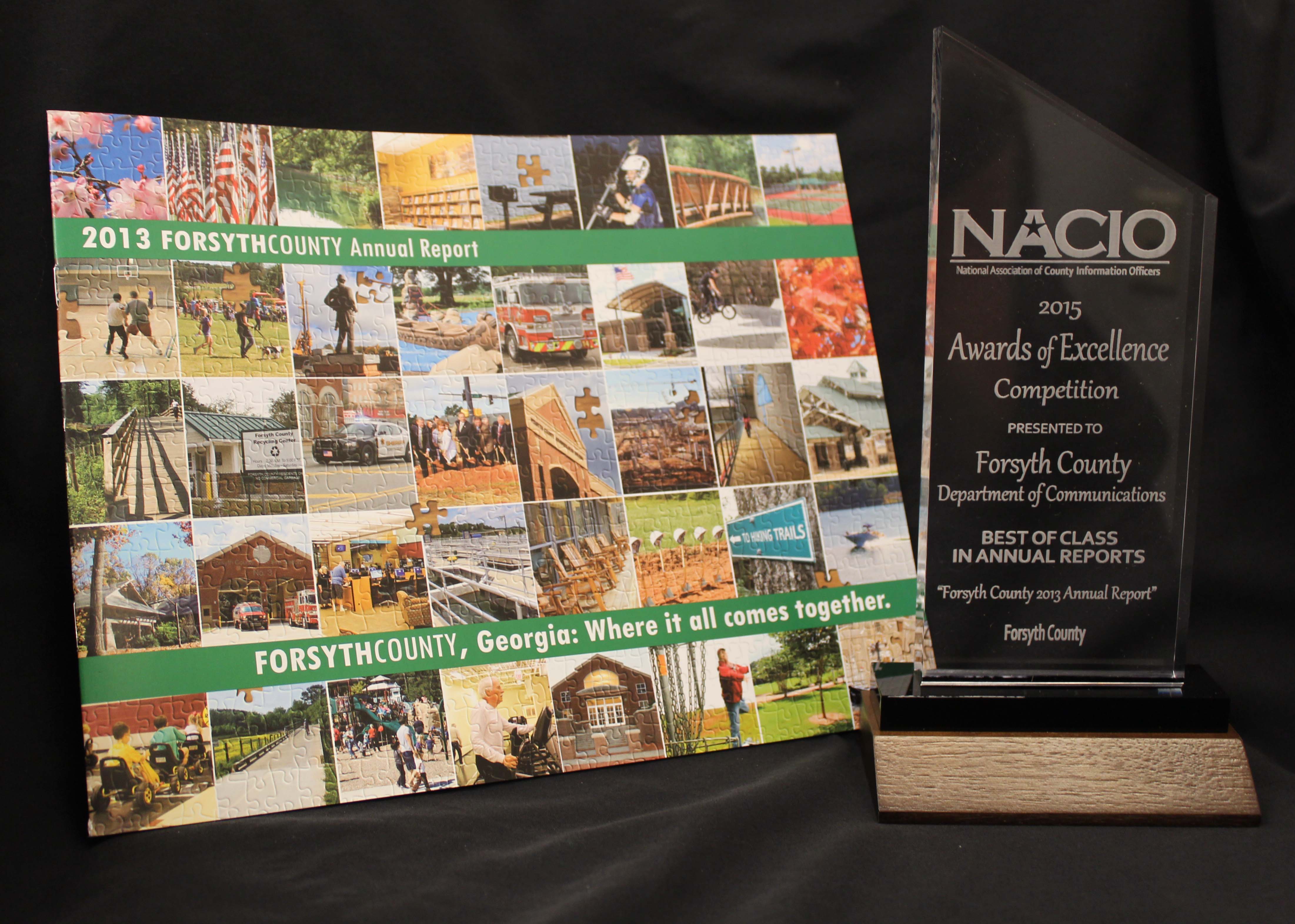 2015 NACIO Award received for Forsyth County 2013 Annual Report