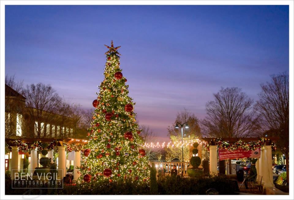 Tree Lighting this Saturday at The Collection at Forsyth
