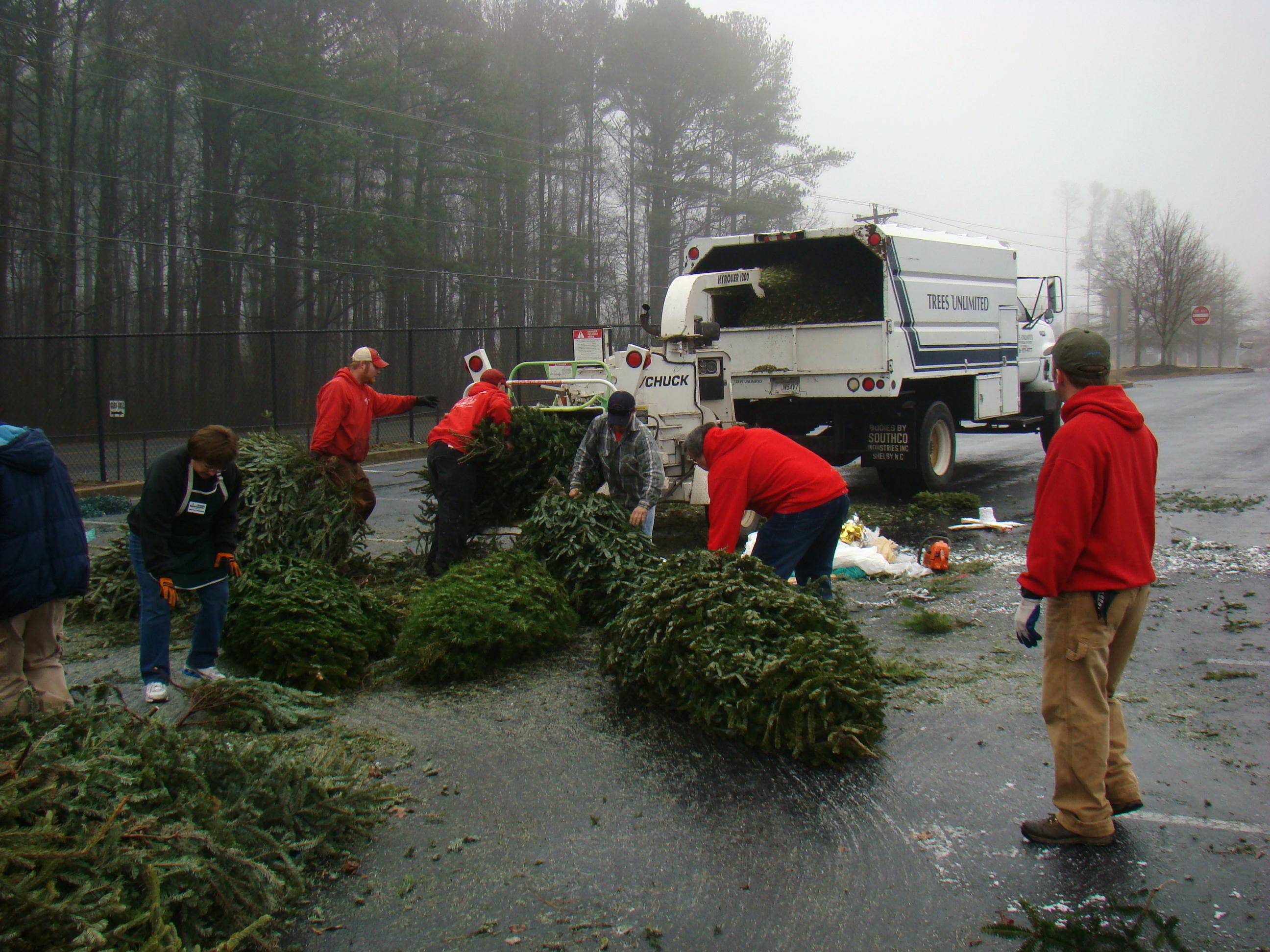 Tree Recycling Locations Remain Open