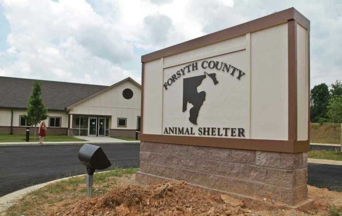 Volunteers Needed – Forsyth County Animal Shelter